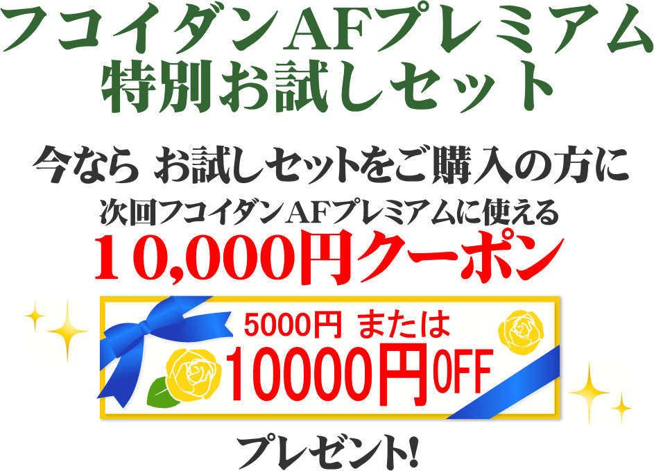 10000円クーポンプレゼント