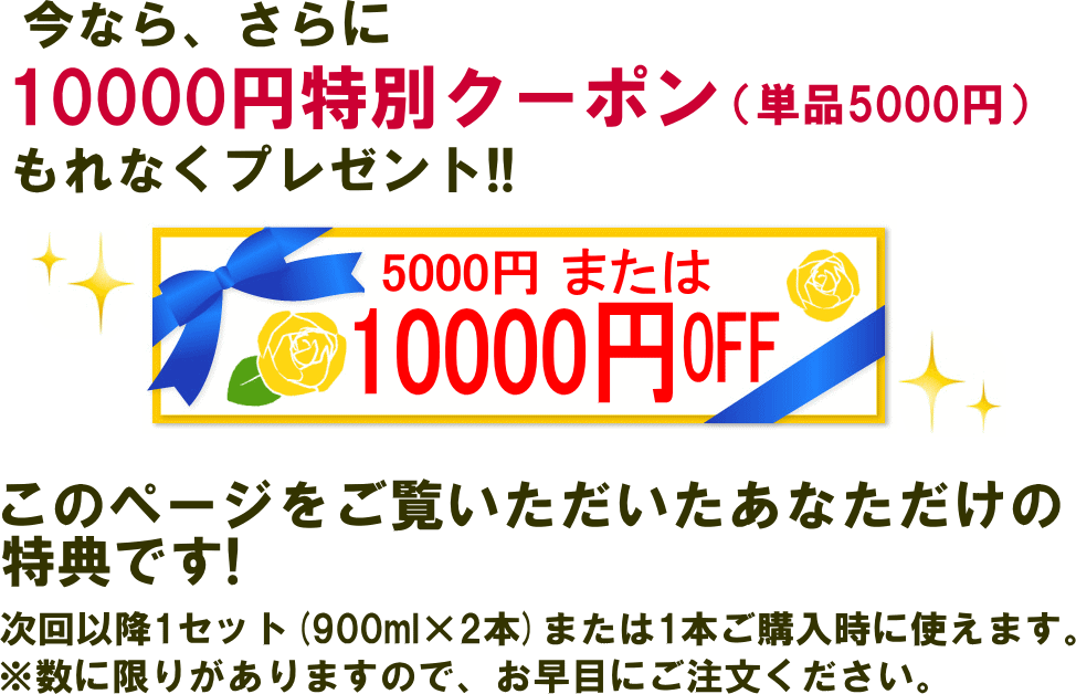 さらに10000円クーポンプレゼント